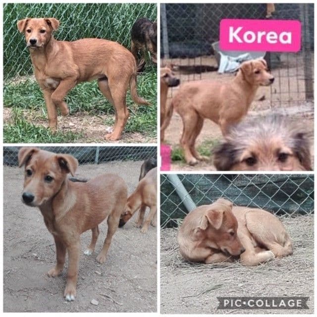 CANADÁ Y SUS BEBÉS S! - Foto 2