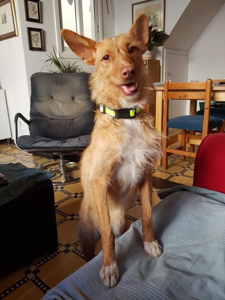 SISI ADOPTADA! - Foto 2