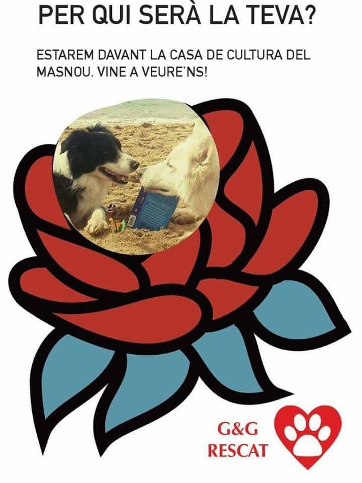 Sant Jordi 2018!