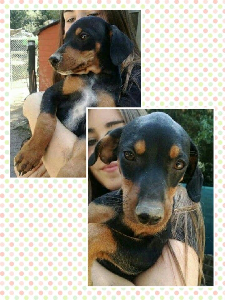 Kenya adoptada! - Foto 1