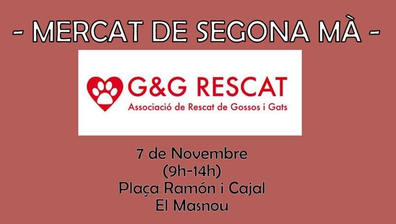 -MERCADO DE SEGUNDA MANO-