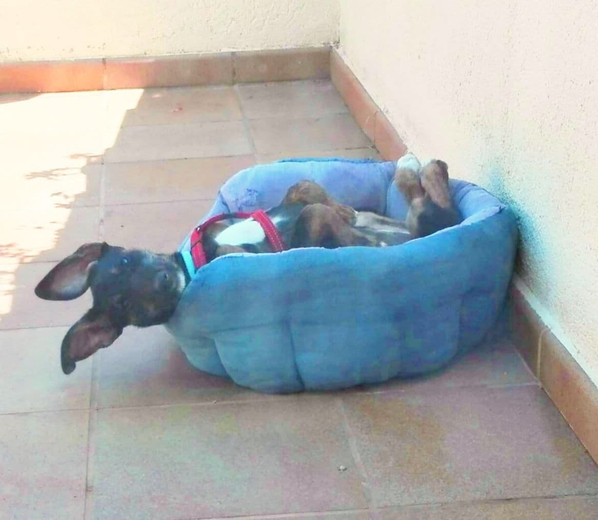 Una oportunidad para Naia!