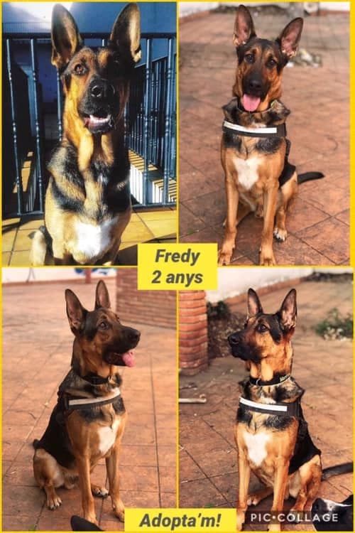 FREDY !! Sé feliz precioso!