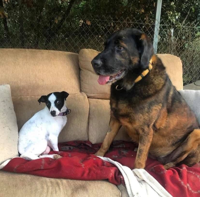 MAWI ADOPTADA! - Foto 3