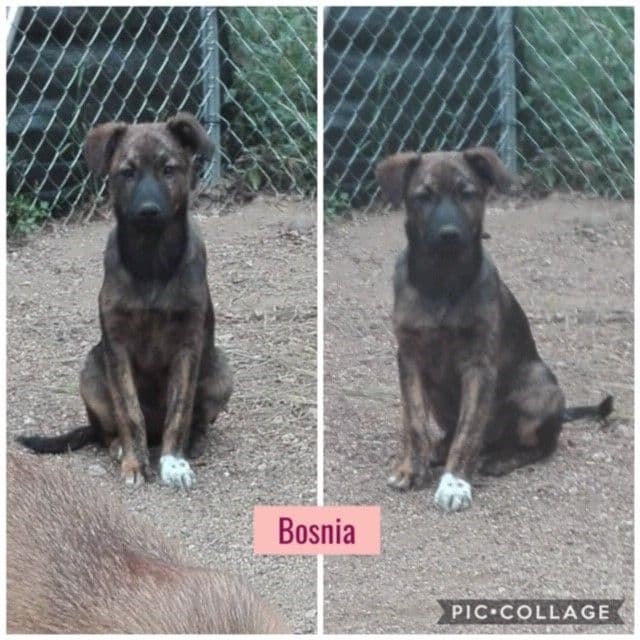 CANADÁ Y SUS BEBÉS S! - Foto 5