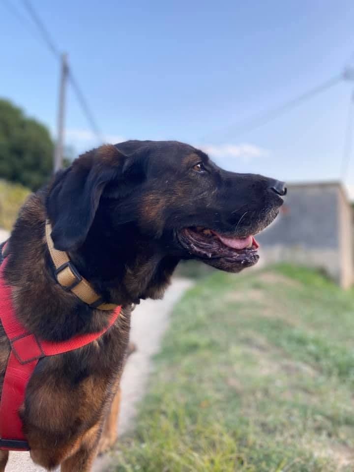 MAWI ADOPTADA! - Foto 1