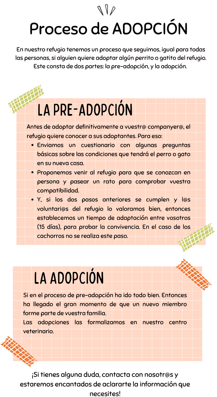 Foto de PROCESO DE ADOPCIÓN