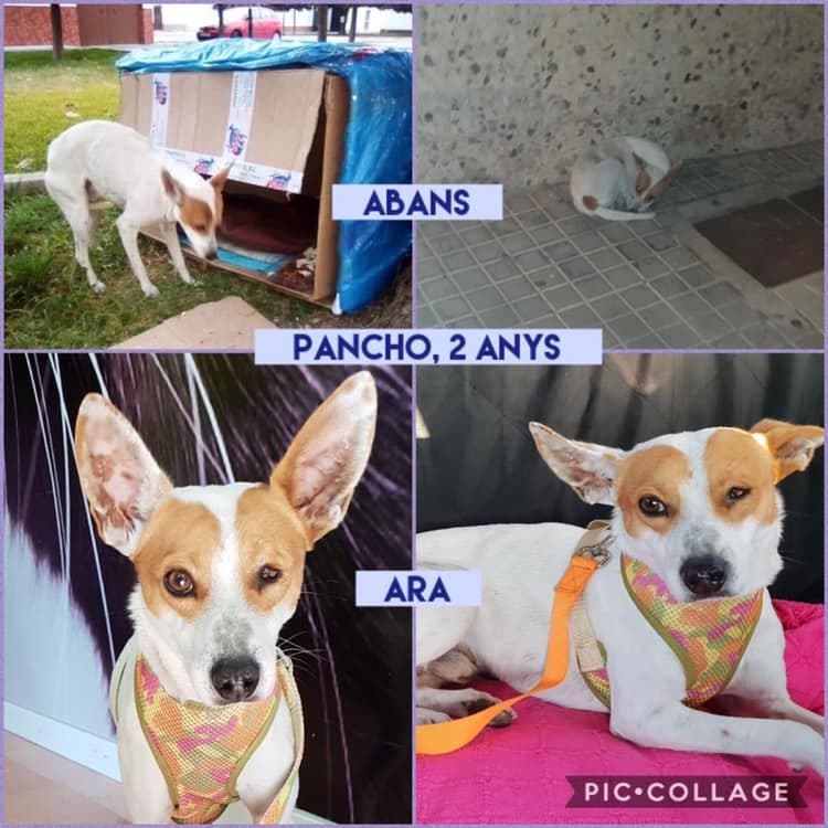 PANCHO ! QUE SEAS MUY FELIZ!!!