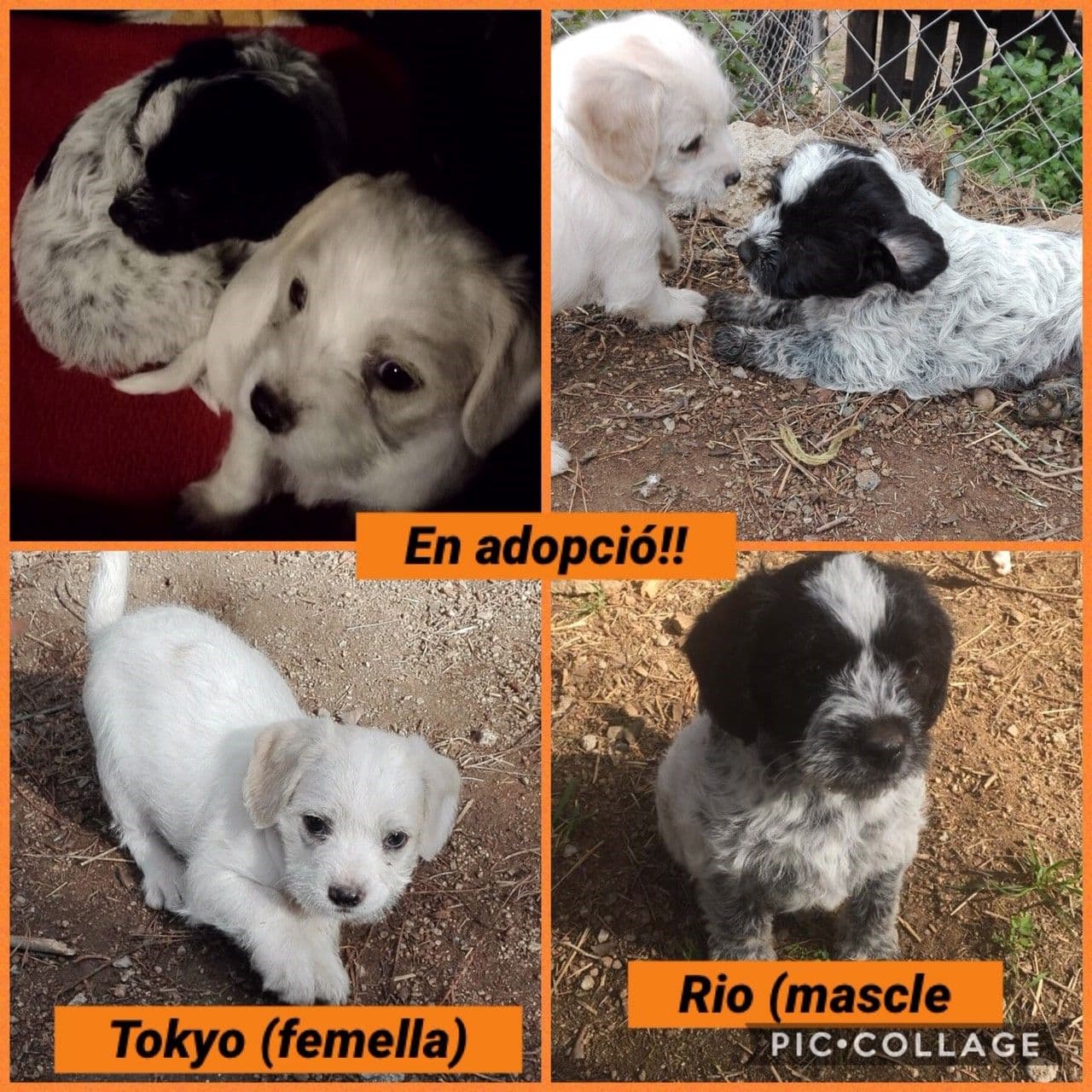 S!!! A ser felices pequeños!