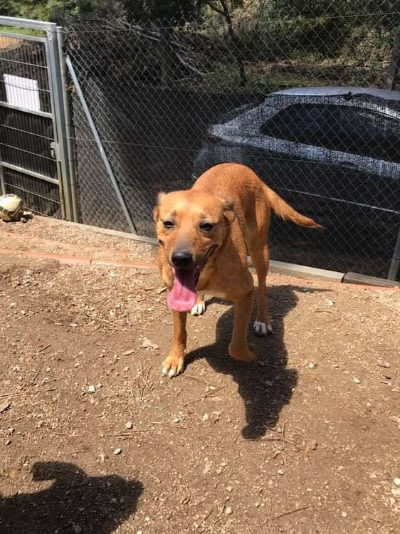 CANADÁ Y SUS BEBÉS S! - Foto 7