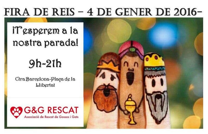-FERIA DE REYES-